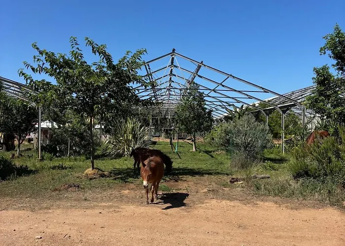 Atypique Entre Campagne Et Hébergement de vacances